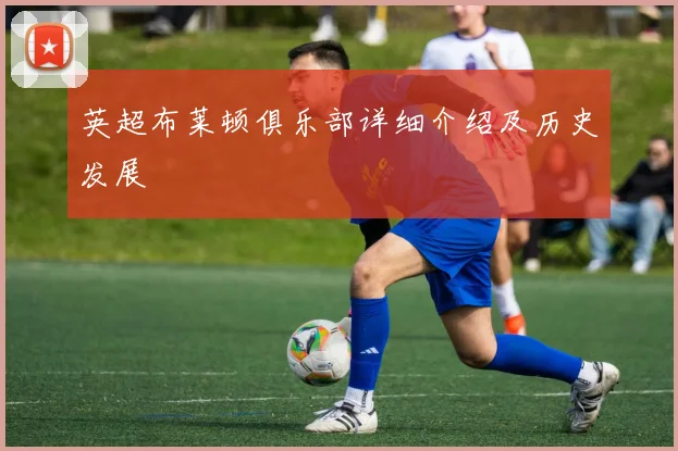 英超布莱顿俱乐部详细介绍及历史发展